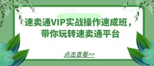 速卖通VIP实战操作速成班,带你玩转速卖通平台-副业资源站