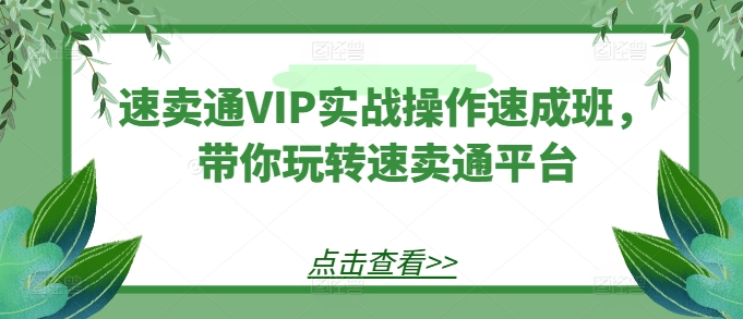 速卖通VIP实战操作速成班，带你玩转速卖通平台-副业资源站