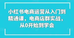 小红书电商运营从入门到精通课，电商店群实战，从0开始到学会-副业资源站