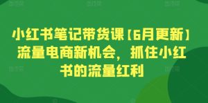 小红书笔记带货课【6月更新】流量电商新机会，抓住小红书的流量红利-副业资源站