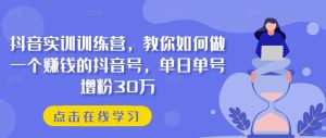 抖音实训训练营，教你如何做一个赚钱的抖音号，单日单号增粉30万-副业资源站