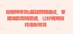 短视频带货0基础剪辑速成,掌握爆款剪辑思维,让好视频加持涨粉带货-副业资源站