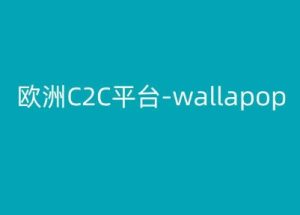欧洲C2C平台-wallapop-kim跨境电商教程-副业资源站