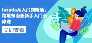 lazada从入门到精通，跨境东南亚新手入门必修课-副业资源站