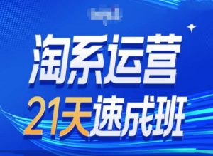 淘系运营24天速成班第28期最新万相台无界带免费流量-副业资源站