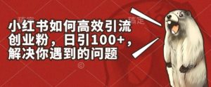 小红书如何高效引流创业粉，日引100+，解决你遇到的问题【揭秘】-副业资源站