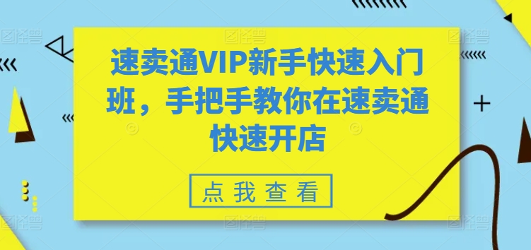 速卖通VIP新手快速入门班，手把手教你在速卖通快速开店-副业资源站