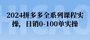 2024拼多多全系列课程实操，日销0-100单实操【必看】-副业资源站