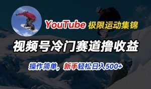 视频号冷门赛道撸收益，YouTube搬运极限运动集锦，暴力起号，操作简单流量高，轻松日入5张【揭秘】-副业资源站