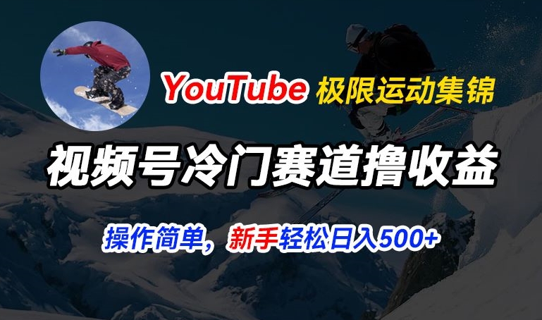 视频号冷门赛道撸收益，YouTube搬运极限运动集锦，暴力起号，操作简单流量高，轻松日入5张【揭秘】-副业资源站