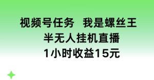 视频号任务，我是螺丝王， 半无人挂机1小时收益15元【揭秘】-副业资源站