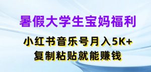 暑假大学生宝妈福利，小红书音乐号月入5000+，复制粘贴就能赚钱【揭秘】-副业资源站
