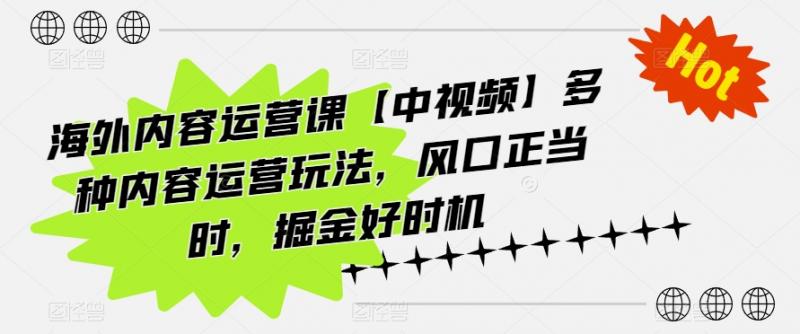 海外内容运营课【中视频】多种内容运营玩法，风口正当时，掘金好时机-副业资源站