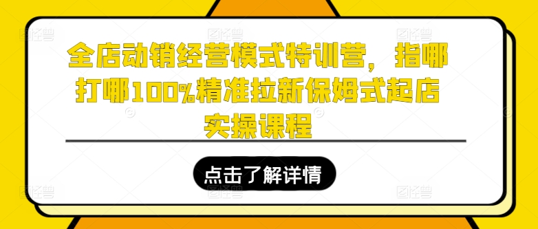 全店动销经营模式特训营，指哪打哪100%精准拉新保姆式起店实操课程-副业资源站