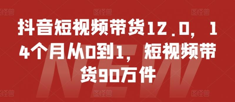 抖音短视频带货12.0，14个月从0到1，短视频带货90万件-副业资源站