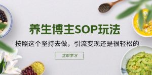 养生博主SOP玩法，按照这个坚持去做，引流变现还是很轻松的-副业资源站
