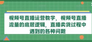 视频号直播爆单秘籍：解锁流量密码，上班族&宝妈副业新风口，直播卖货难题一网打尽！-副业资源站