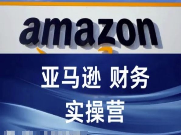 2024必学！亚马逊跨境电商财务实操课，副业新风口，上班族宝妈兼职首选-副业资源站