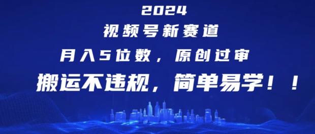 2024视频号红利期，副业新风口！轻松月入5位数，原创搬运双攻略，副业达人必备秘籍-副业资源站