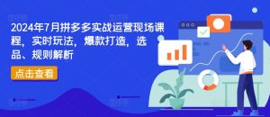 2024拼多多实战课:边上班边学,打造副业爆款秘籍,选品+规则全攻略!-副业资源站