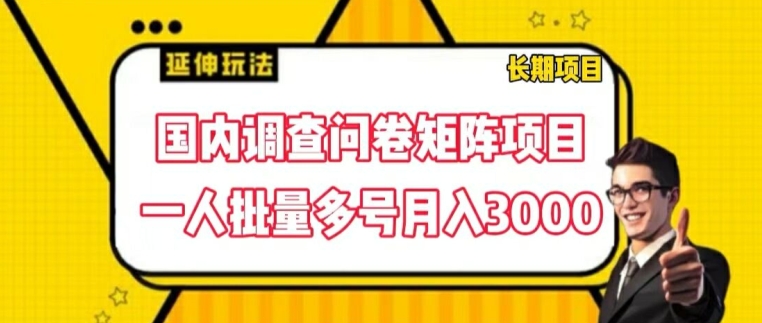 兼职新风口：国内问卷调查矩阵，一人多号操作，轻松副业月入3000+-副业资源站