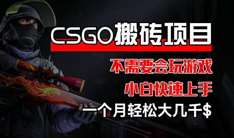 CSGO装备交易新风口，副业赚钱神器！无需游戏技巧，小白月入过万秘籍-副业资源站