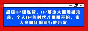 超级IP孵化营:揭秘素人逆袭网红之路,IP实战大课,引领个人品牌新纪元-副业资源站
