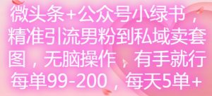 微头条+公众号小绿书，精准引流男粉到私域卖套图，无脑操作，有手就行，每单99-200，每天5单-副业资源站
