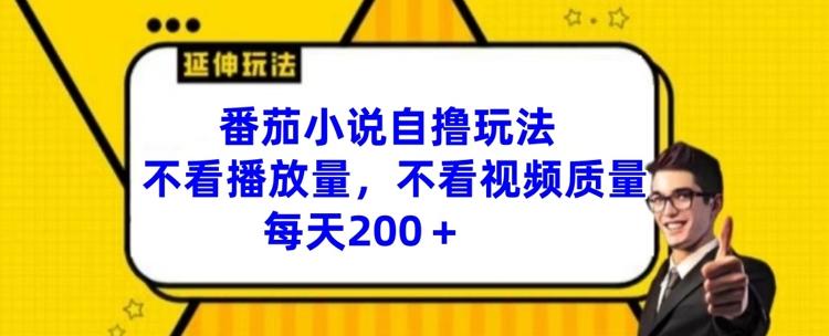 番茄小说日赚200+绝技：无视播放量与视频质量，独家自撸策略大公开-副业资源站