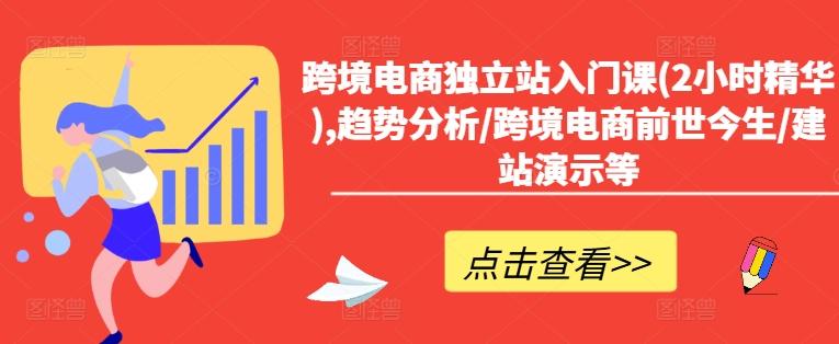 跨境电商独立站速成宝典：2小时精通趋势+历史+实战建站-副业资源站