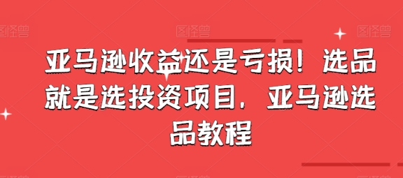 亚马逊收益还是亏损！选品就是选投资项目，亚马逊选品教程-副业资源站