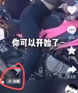 苹果手机动图搬运秘籍,2024年7月热门副业,边玩边赚新潮流!-副业资源站