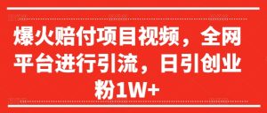 日赚万粉秘籍：爆火赔付项目视频，全网霸屏引流大法揭秘-副业资源站