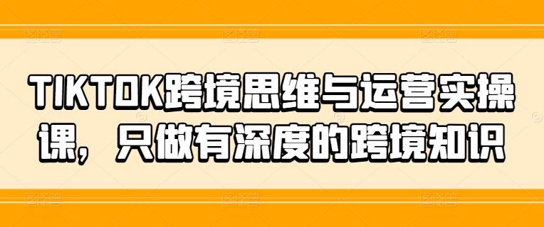 TIKTOK跨境实战秘籍：深度运营思维，解锁跨境新蓝海-副业资源站