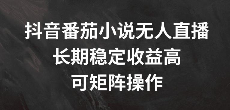 抖音番茄小说无人直播：揭秘矩阵操作，长期稳定暴利秘籍-副业资源站