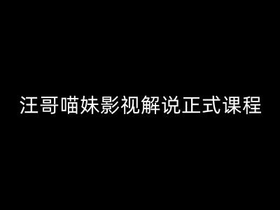 汪哥影视解说大师课：揭秘剪映PR秘籍+5大视剪黄金法则+7大神器全流程实战-副业资源站