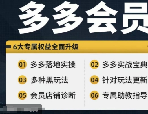 拼多多会员实战秘籍：新手进阶高手，宝典在手，实操无忧！-副业资源站