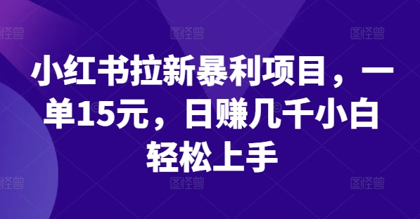 小红书拉新秘籍：日赚数千元暴利项目，小白秒变高手实操揭秘-副业资源站