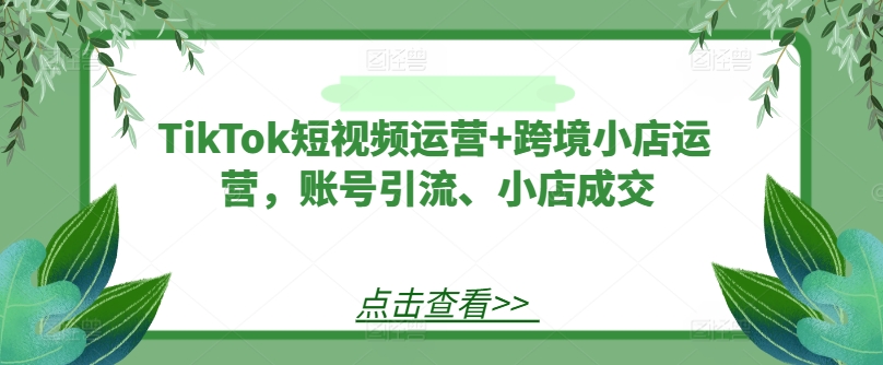 TikTok跨境秘籍：爆款短视频引流，小店成交飙升！-副业资源站