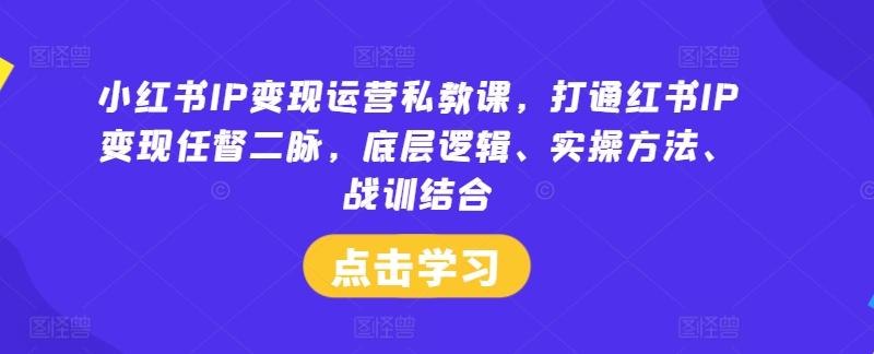 小红书IP变现实战秘籍：解锁任督二脉，精通底层逻辑+实操绝技，战训融合速通变现之路-副业资源站