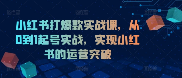 小红书爆款打造秘籍：0基础起号实战课，运营突破新境界-副业资源站