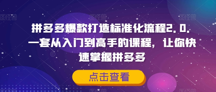 拼多多爆款速成秘籍2.0：新手秒变高手，轻松驾驭拼多多市场-副业资源站