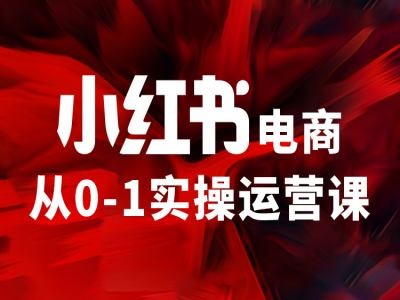 小红书电商从0-1实操运营课，让你从小白到精英-副业资源站