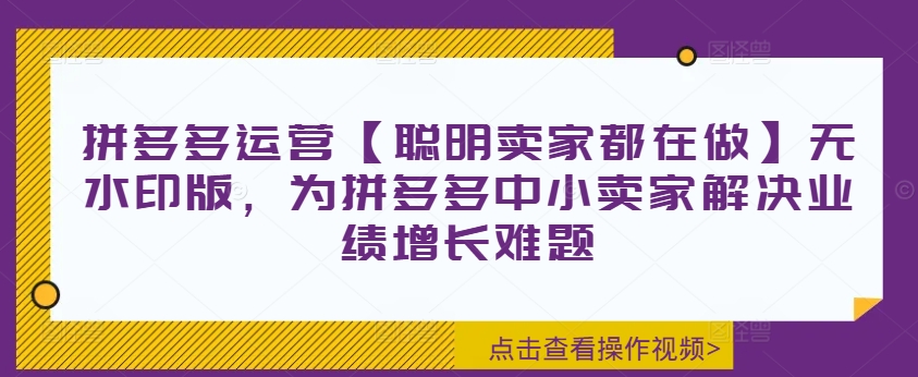 拼多多运营【聪明卖家都在做】无水印版，为拼多多中小卖家解决业绩增长难题-副业资源站