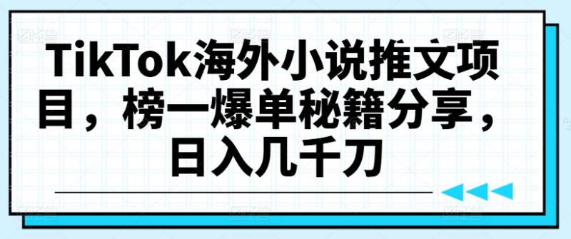 TikTok海外小说推文项目，榜一爆单秘籍分享，日入几千刀-副业资源站