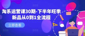 淘系运营课30期-下半年旺季新品从0到1全流程-副业资源站