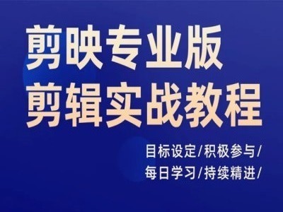 剪映专业版：实战剪辑高手养成计划，日进千里，精通每一天-副业资源站