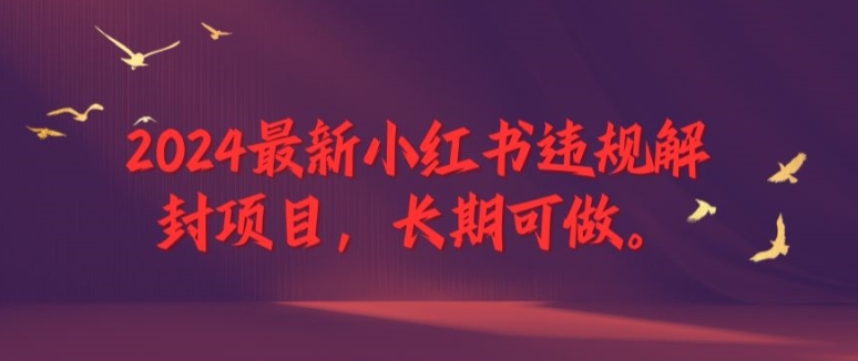 2024小红书违规秒解封秘籍：打造终身副业，退休前财富自由不是梦-副业资源站