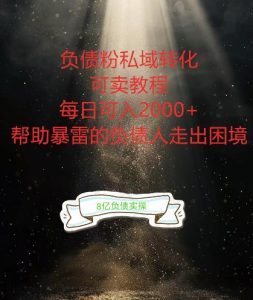 负债粉掘金计划,帮助负债者解决问题,债务规划,债务重组,最好的变现方式【揭秘】-副业资源站