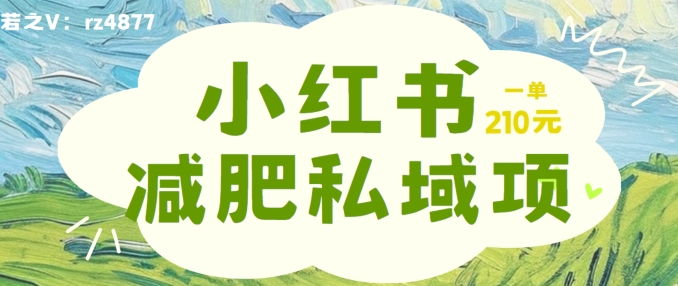 小红书减肥粉，私域变现项目，一单就达210元，小白也能轻松上手【揭秘】-副业资源站